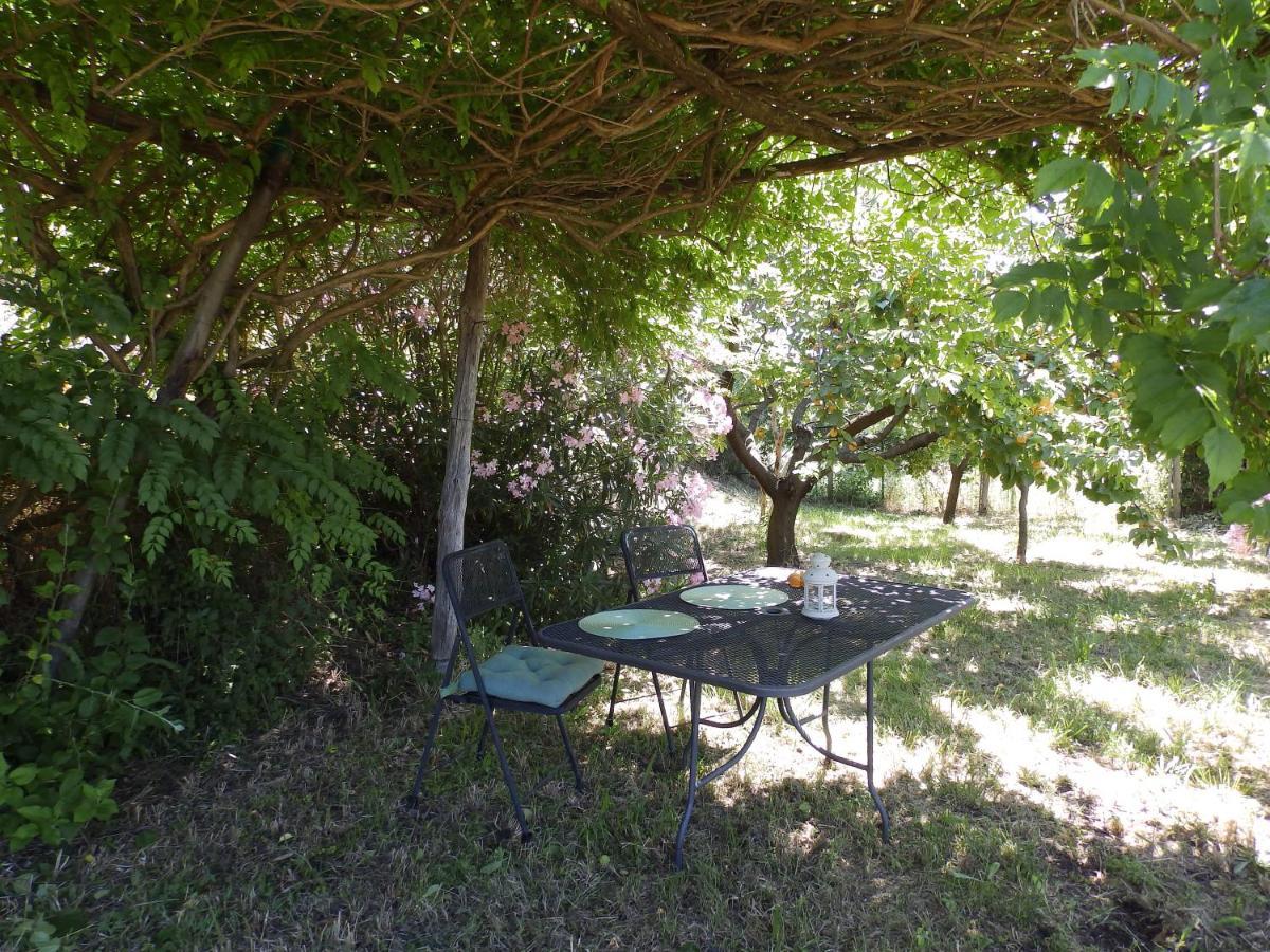 Casa Marju Guest House Montemassi Екстериор снимка