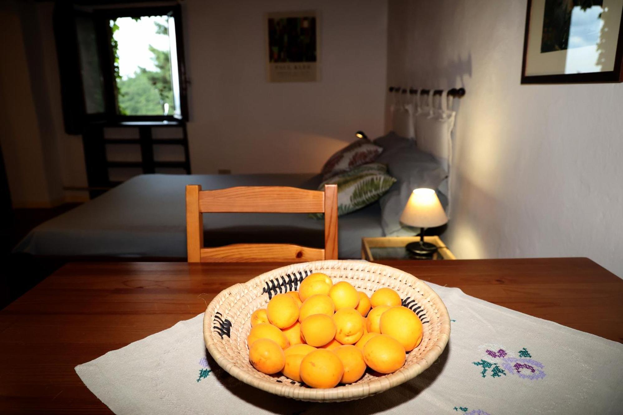 Casa Marju Guest House Montemassi Екстериор снимка