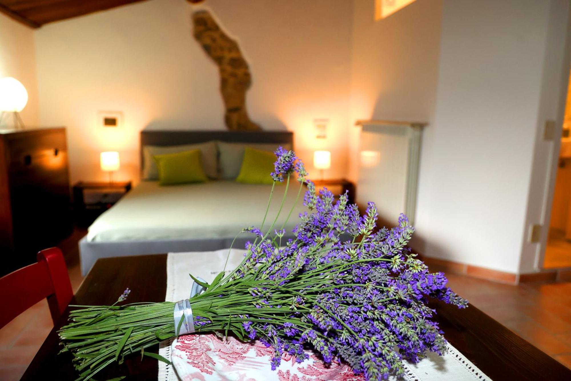 Casa Marju Guest House Montemassi Екстериор снимка