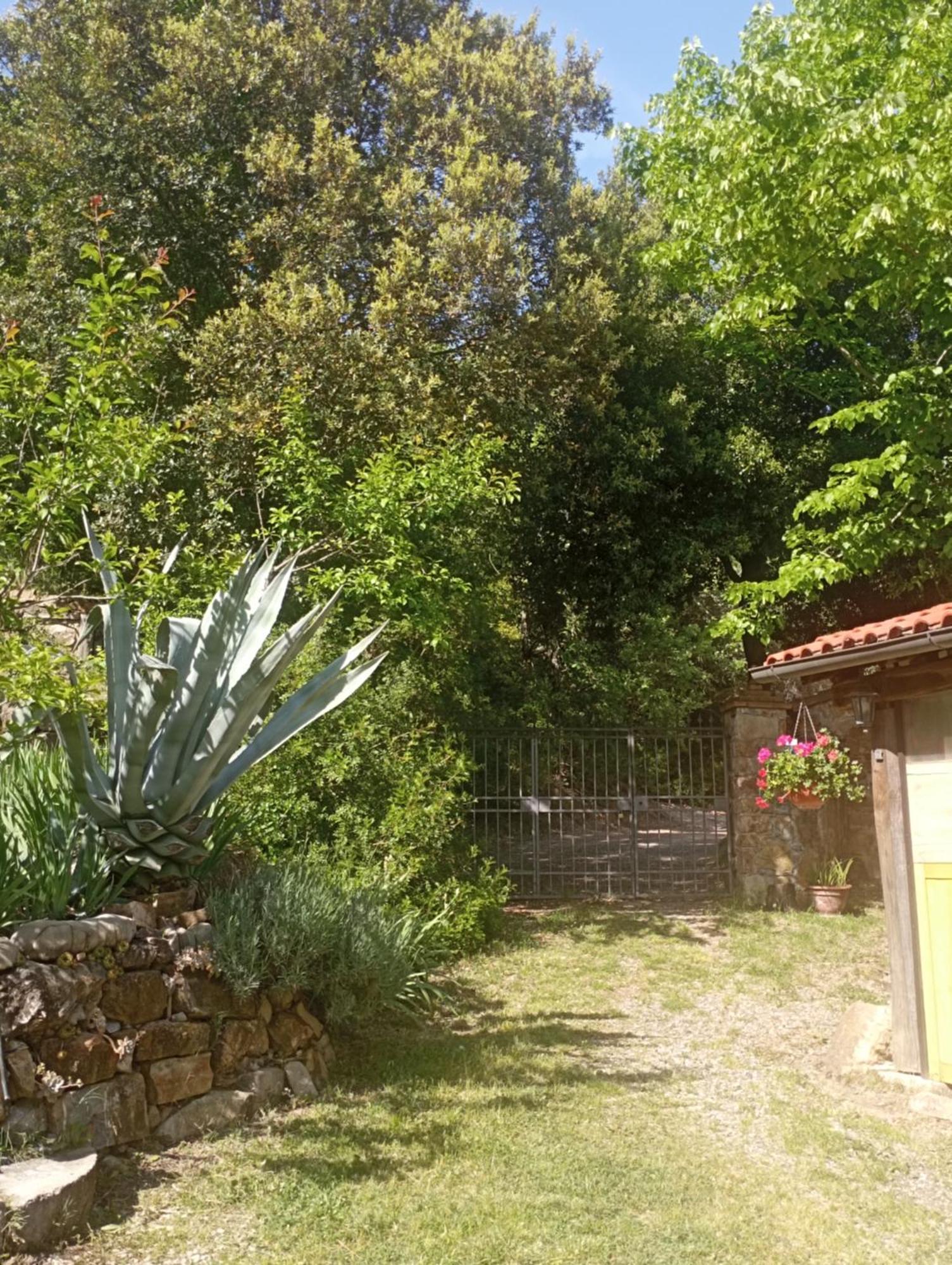 Casa Marju Guest House Montemassi Екстериор снимка