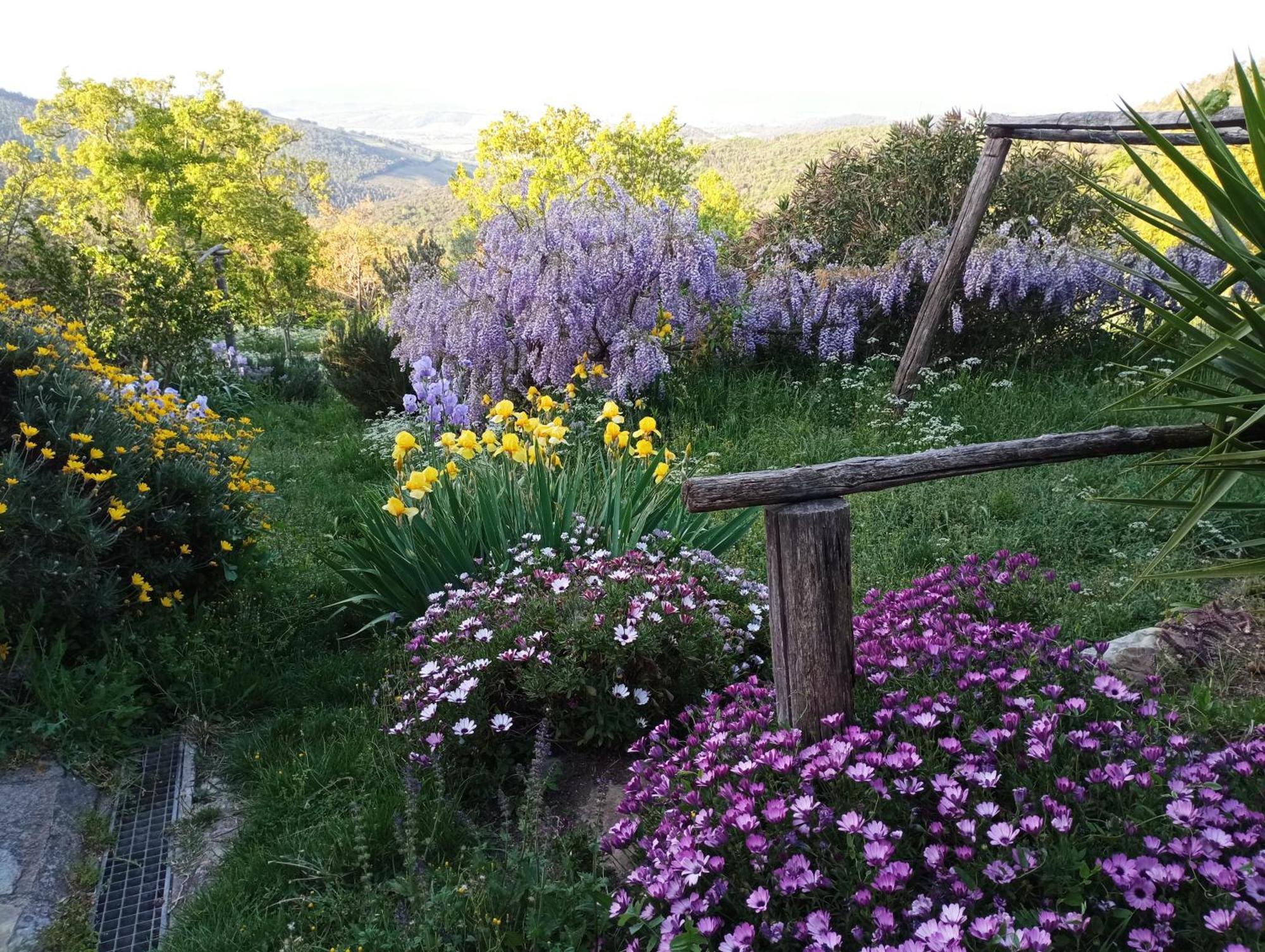 Casa Marju Guest House Montemassi Екстериор снимка